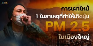 Read more about the article การเผาไหม้ 1 ในสาเหตุของการเกิดฝุ่น PM 2.5 ในเมืองใหญ่